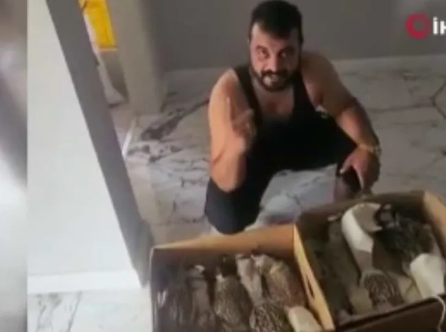 sosyal-medyada-cok-konusulmustu-kus-cetesine-baskin-meger-dinlendirmek-icin-birakmislar-1754916580970.jpg Sosyal medyada çok konuşulmuştu: Kuş çetesine baskın! Meğer dinlendirmek için bırakmışlar…