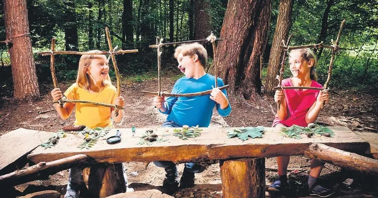 Yaz okulunu yemekhanesine kadar gezin!