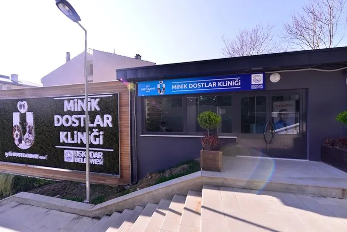 Bu Hastane Sadece Minik Dostlara Ozel Sayfa 2 En Son Haber
