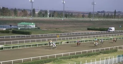 Şanlıurfa’da at yarışları başladı