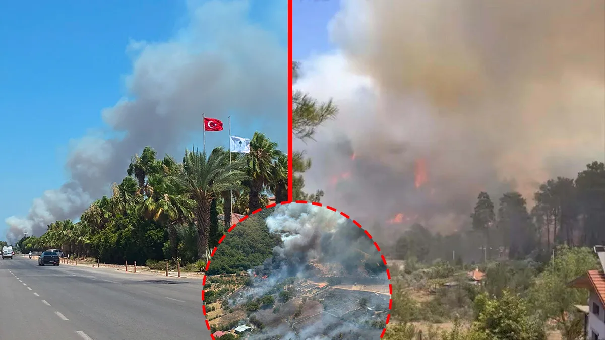 SON DAKİKA… Antalya ve Muğla'da korkutan orman yangını! Alevlere havadan ve karadan müdahale sürüyor haber görseli