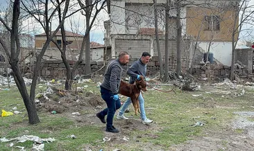 Kayseri’de başıboş köpek dehşeti: 3 yaşındaki çocuk ağır yaralandı! #kayseri