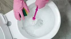 Tuvaleti temizlerken yapılan bu hata mikrop yuvasına çeviriyor!