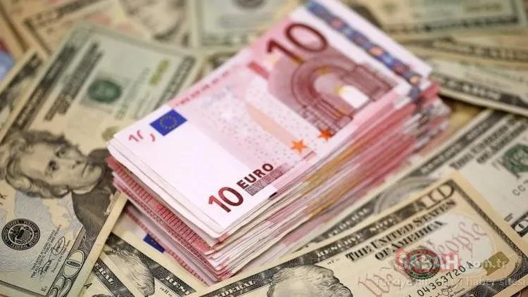 Son Dakika: Dolar ve Euro bugün ne kadar kaç TL oldu? 31 Ağustos döviz kuru Dolar Euro alış - satış fiyatı