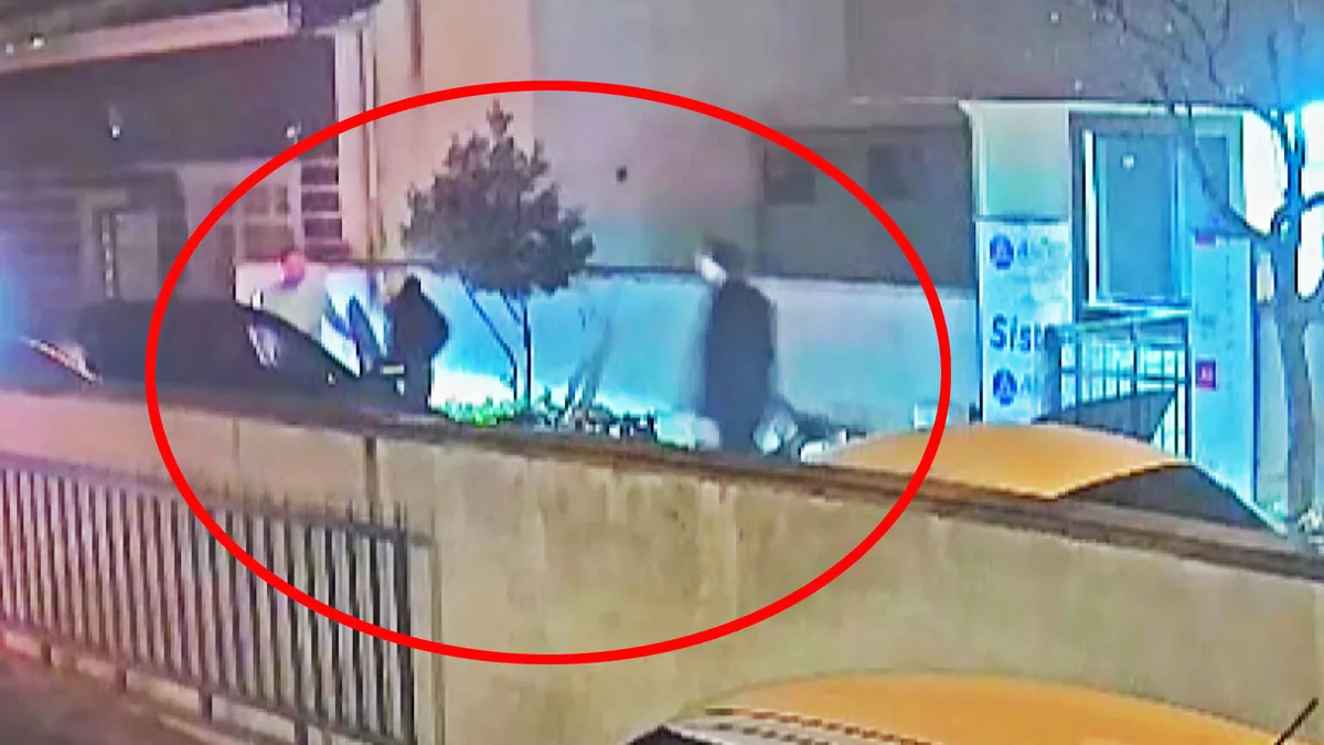 Son dakika… Aleyna Kalaycıoğlu olayı cinayeti görüntüleri ortaya çıktı | Video videosunu izle Son dakika… Aleyna Kalaycıoğlu olayı cinayeti görüntüleri ortaya çıktı | Video videosunu izle