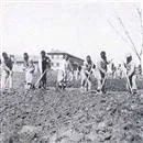 Köy Enstitülerinin kuruluşuna ilişkin kanun kabul edildi.