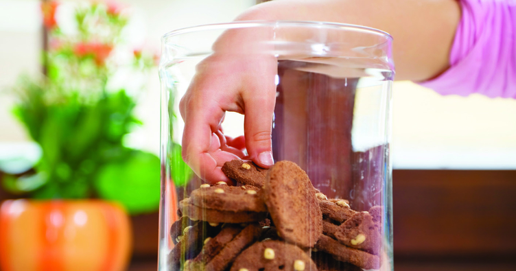 İzinsiz alma davranışı