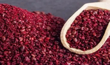 Sumak faydaları sayesinde vücudu yenileyip hastalıklardan koruyor! Sumağın faydaları nelerdir?
