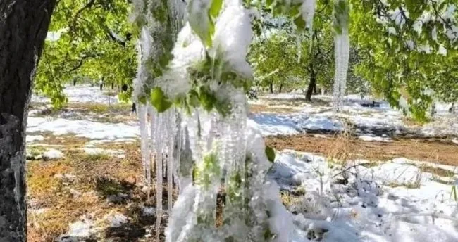 Malatya’da üreticiler için seferberlik başladı