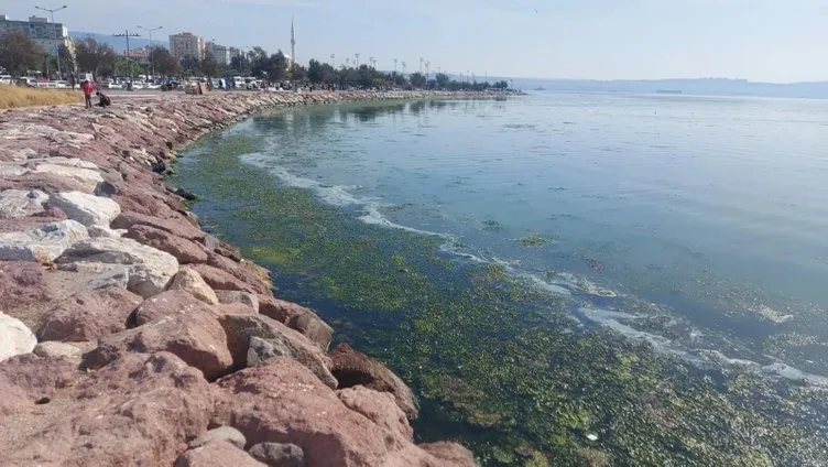 İzmir sahillerinde şaşırtan görüntü: Müsilaj ile arasında çok fark yok