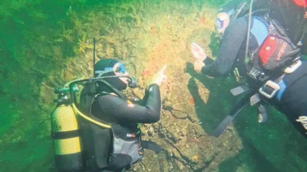 Av değil yaşam alanı