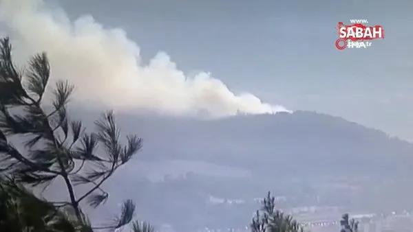 İzmir’in Buca ilçesinde ormanlık alanda yangın çıktı.