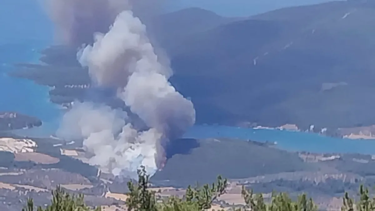 Milas’ta orman yangını! Havadan ve karadan müdahale başlatıldı Milas’ta orman yangını! Havadan ve karadan müdahale başlatıldı