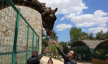 Türkiye’nin en büyük hayvanat bahçesinde bahar hazırlığı