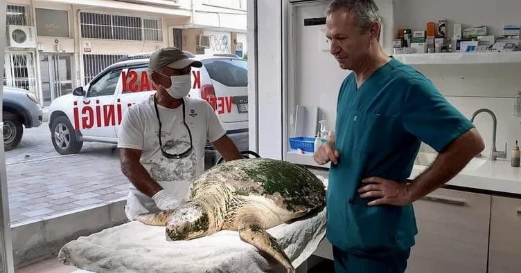 İmdadına Kıyı Emniyeti yetişti