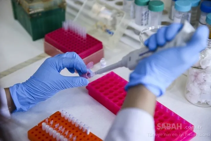 Türk bilim insanları kanserle savaşacak uyuyan hücrelerin şifrelerini keşfetti