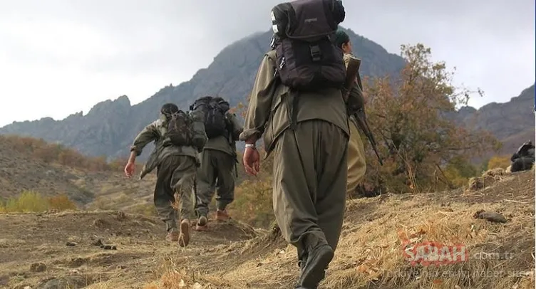 PKK’dan kaçarak teslim olanlar SABAH’a konuştu: Devlete güvendik yeniden doğduk