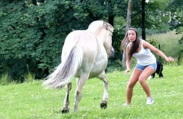 Zamanlaması harika fotoğraflar