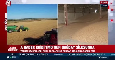 Son Dakika: Türkiye’nin buğday stoğu ne kadar? A Haber ekibi TMO’nun buğday silosunda! | Video