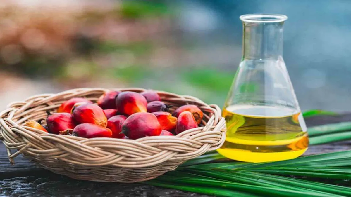 Palm yağında yükseliş sürüyor