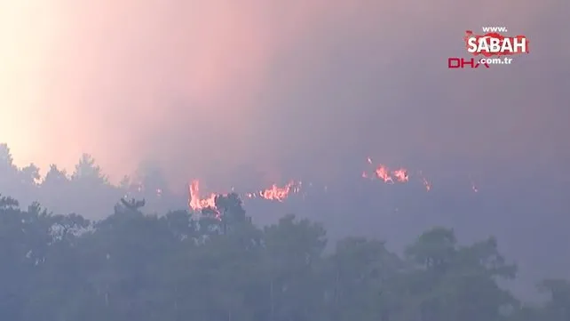 Marmaris'teki orman yangınında ikinci gün. Çıkış nedeni için özel ekip kuruldu | Video