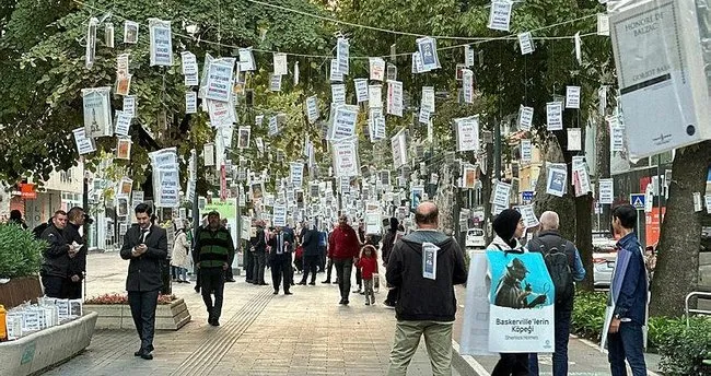 Ağaçlar kitap açtı