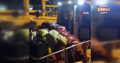Tuzla’da tır kasasında 8 ton midye ele geçirildi | Video