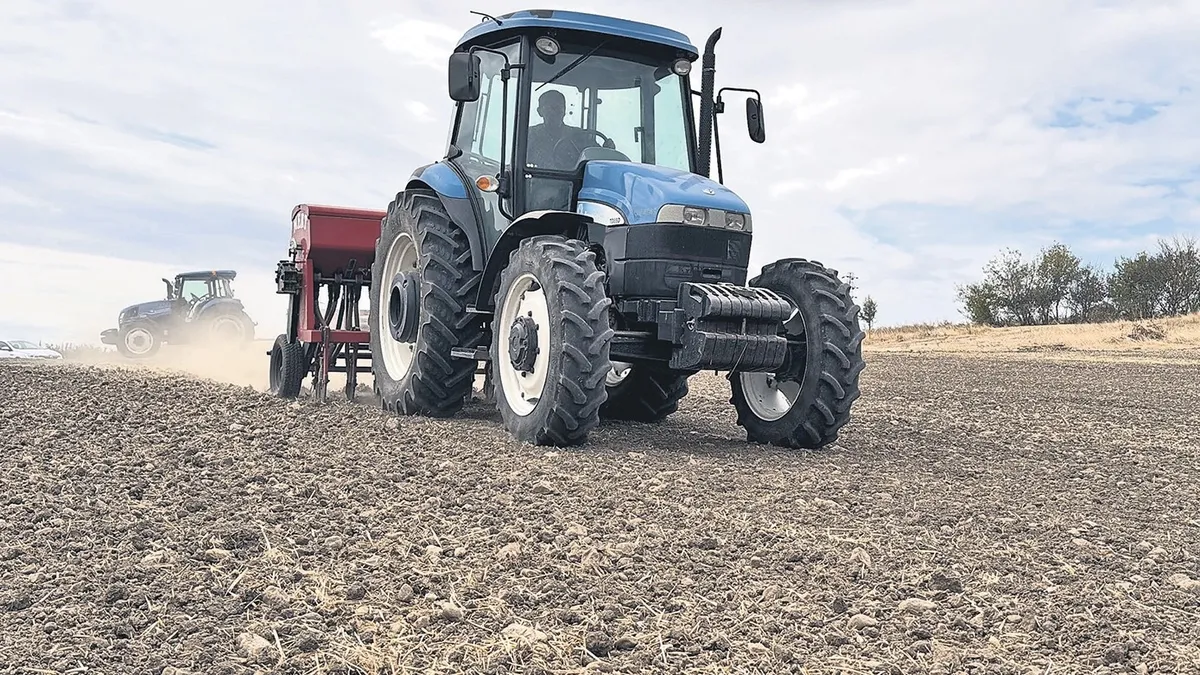 Çiftçinin umudu kanola oldu