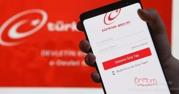 Seyahat izin belgesi nasıl alınır? E devlet ile seyahat izin belgesi başvuru ekranı ve şartları