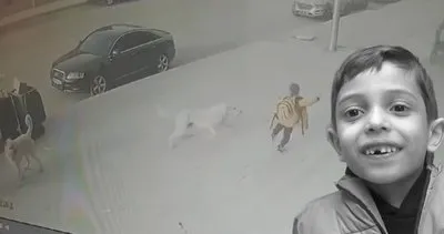 Sokak köpekleri 8 yaşındaki Emir Bahadır’a kabusu yaşattı: Beni parçalayabilirlerdi!