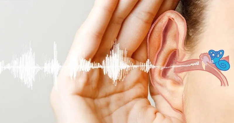 ani isitme kaybi belirtileri ve