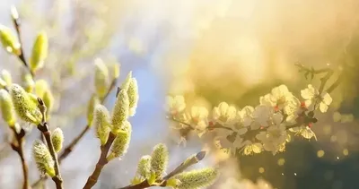 İkinci cemre ne zaman düşecek? Baharın habercisi ikinci cemre nereye düşecek?