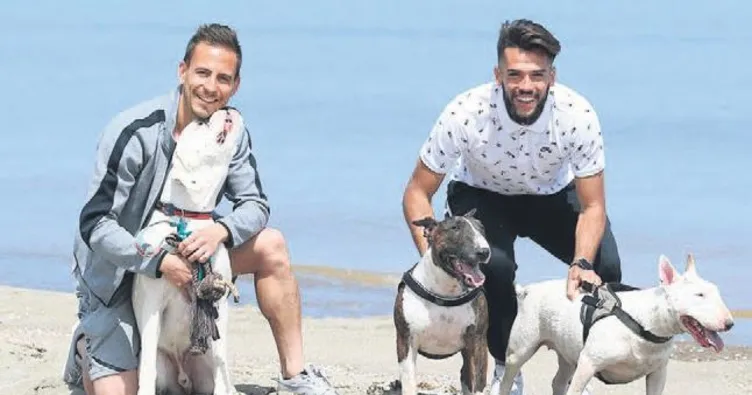 ‘Avrupa’ya gideceğiz’