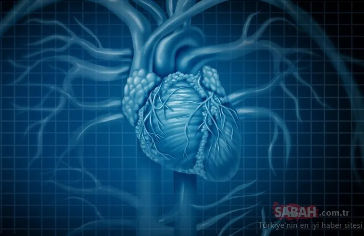 Ani kalp çarpıntısı hastalık habercisi olabilir