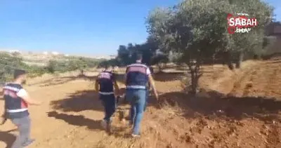 Şanlıurfa’da cinayet zanlısı fıstık tarlasında böyle yakalandı | Video