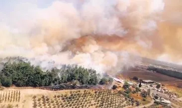 Orman yandı havalimanı kapandı