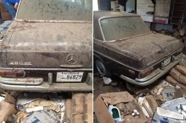 20 yıl sonra ahırdan çıktı