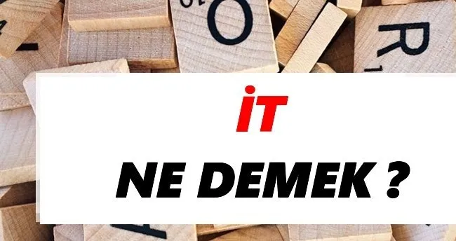 İt Ne Demek? TDK Anlamına Göre İt Sözlük Anlamı Nedir?