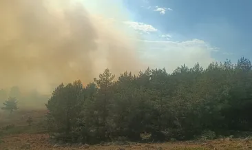 Bolu’da orman yangını!