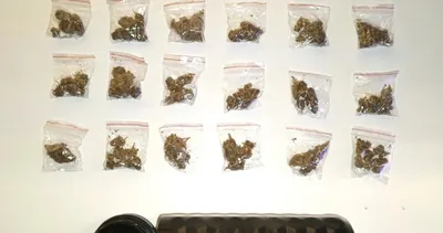 Yunuslar göz açtırmıyor