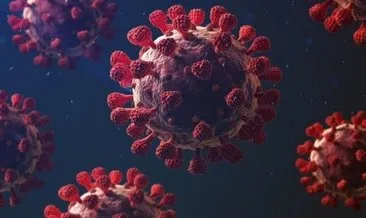 Koronavirüs tablosu 4 Ağustos 2022: Sağlık Bakanlığı Covid-19 tablosu ile Türkiye’de koronavirüs vaka ve ölüm sayısı kaç oldu?