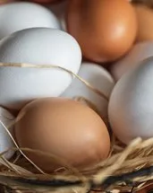 Mutfağınızdaki en büyük hata! Yumurtaları asla böyle yerleştirmeyin
