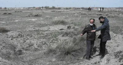 Uzman isim ’büyük bir risk’ diyerek açıkladı: Konya’da sayıları 600’ü geçti...