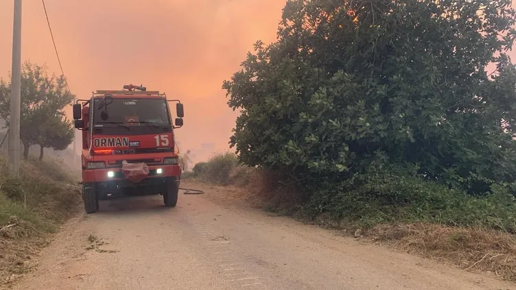 SON DAKİKA: Hatay, Mersin ve Çanakkale'de orman yangını! Alevlerle mücadele sürüyor: Bakanlar son bilançoyu açıkladı