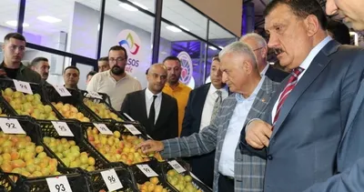 25’inci Kayısı Festivali başladı