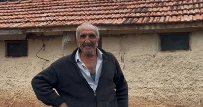 Kurtlar sürüyü parçaladı: 18 küçükbaş hayvan telef oldu #kirikkale