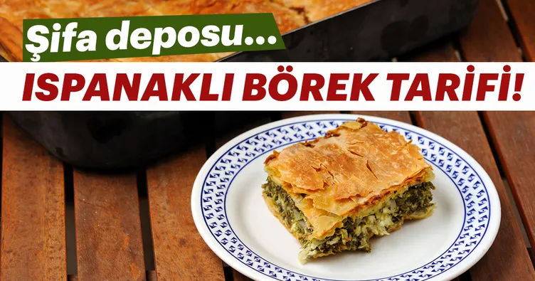 Ispanaklı börek nasıl yapılır? Ispanaklı börek tarifi… Yemek Ispanaklı börek nasıl yapılır? Ispanaklı börek tarifi… Yemek