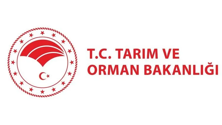 SON DAKİKA | Yeni bakan yardımcıları belli oldu! Resmi Gazete’de yayımlandı