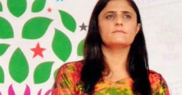 Gara’dan Mahmur’a özel araçla dolaşmış!