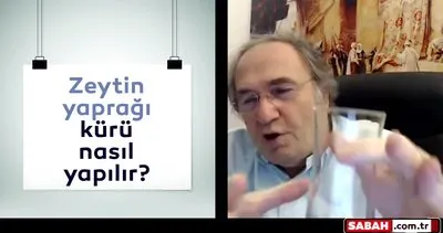 Prof. Dr. İbrahim Saraçoğlu ilk kez sabah.com.tr’ye açıkladı! “Bu bitki sayesinde diyet yapmadan ayda iki kilo vereceksiniz”